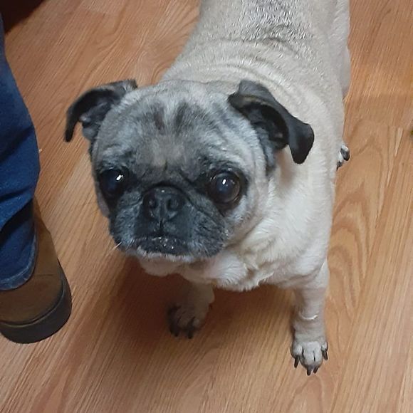 Meet your Posher, Heather - Picture 1 of 1